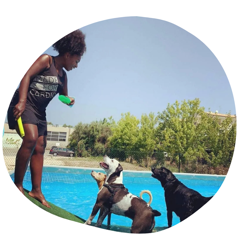 piscina per cani rimini