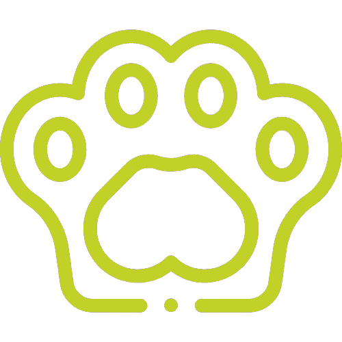 icon-zampa-cane