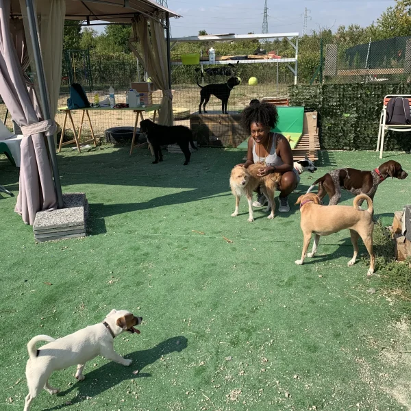 pensione per cani rimini riccione