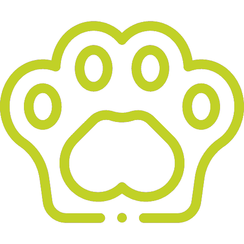 icon-zampa-cane