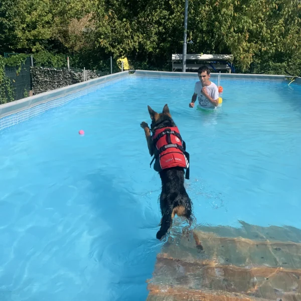riccione piscina per cani